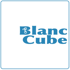 Blanc cube